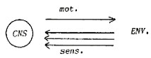 onconcepts06.jpg