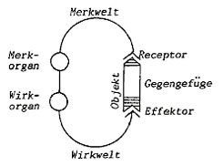 onconcepts08.jpg