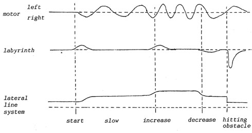 onconcepts12.jpg